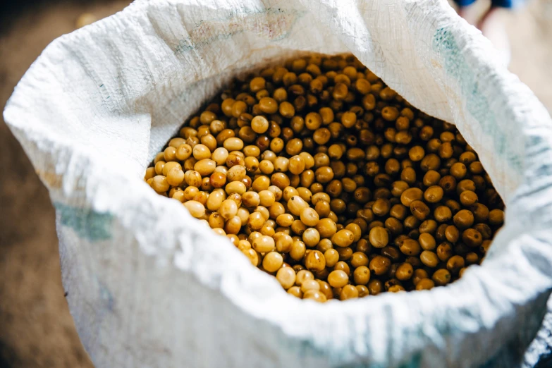 a white cloth bag containing chickpeas inside it