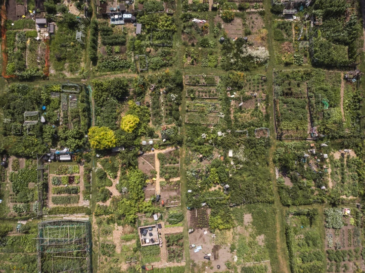 an aerial view of many rows of farm land