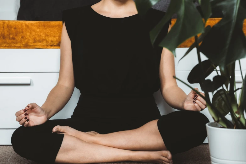 a woman sitting in a lotus position in front of a plant