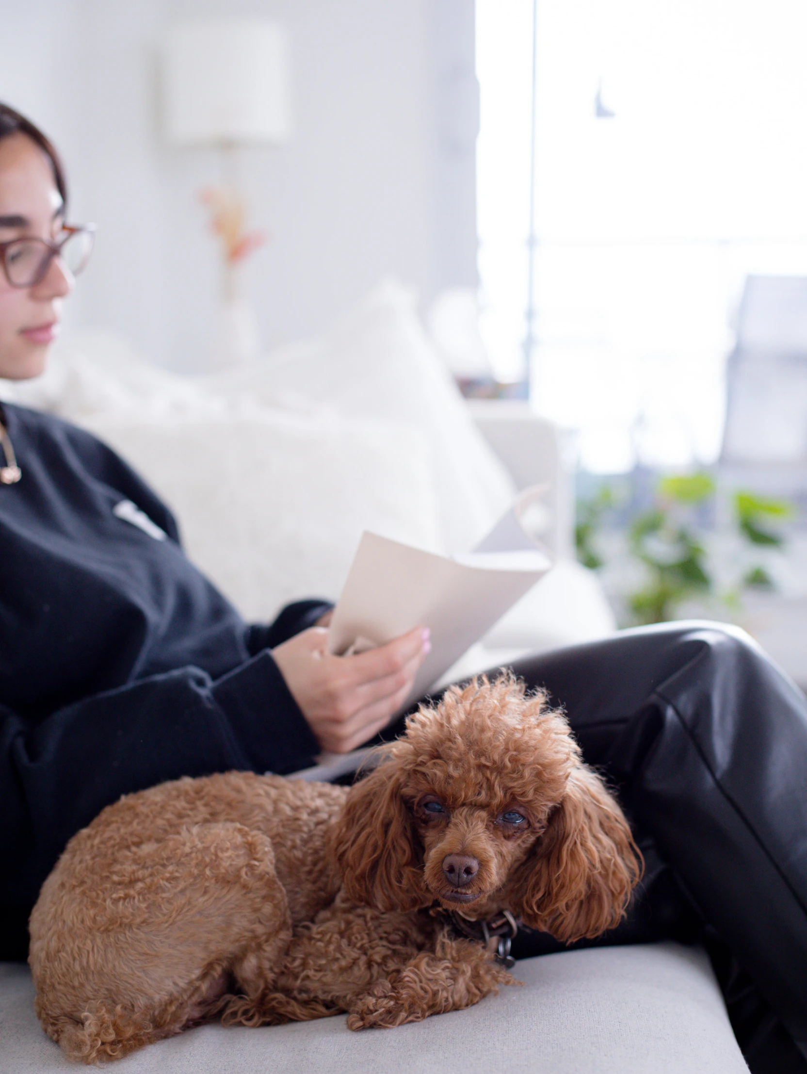 a girl is sitting on a couch reading with her brown dog