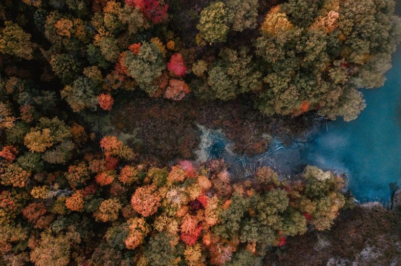 an overhead view of the river and trees