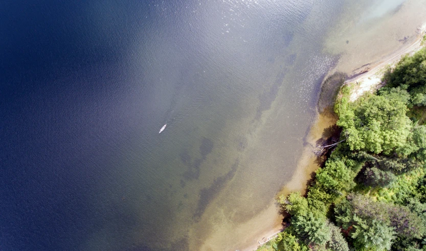 an aerial view of a lake with trees in the foreground