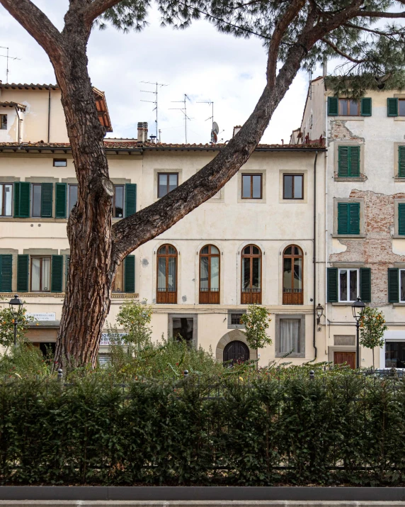 an apartment building with green shutters and trees