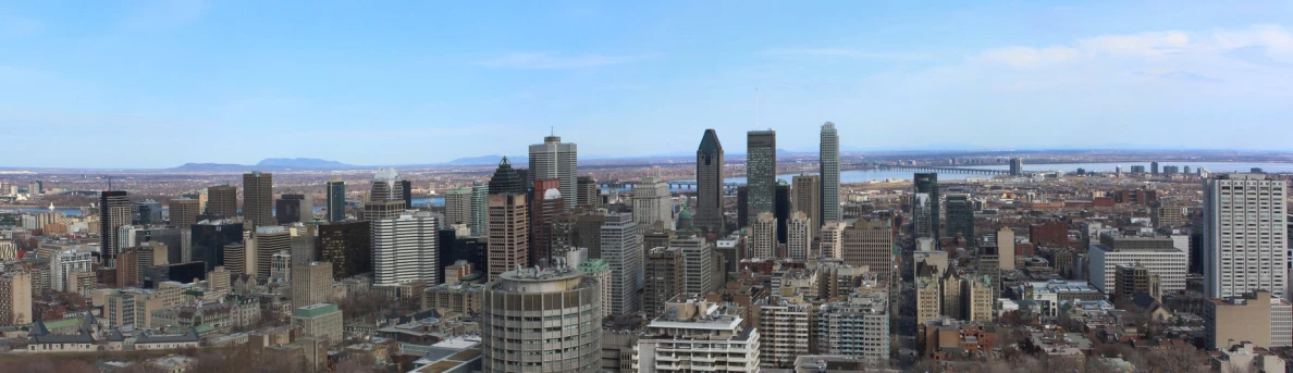 aerial view of large city skyline and river