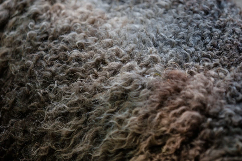 the wool has been washed up so it looks gray