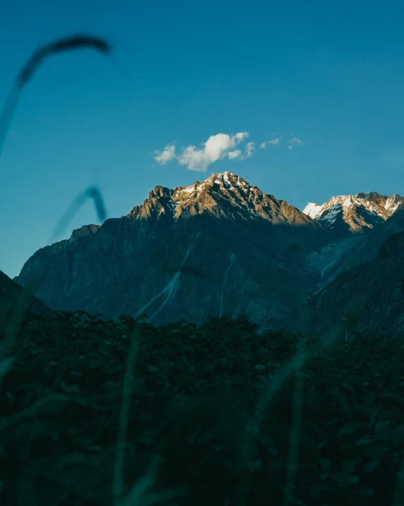 the top of a mountain, with trees and foliage in the foreground