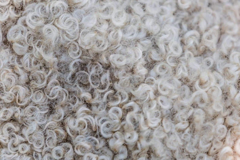 an abstract pograph of yarn in the form of curls