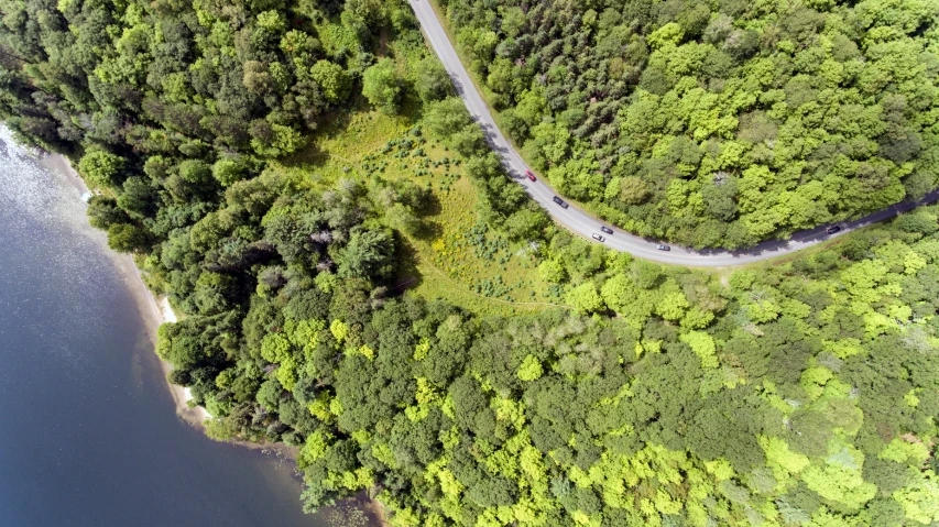 the aerial view shows the forest surrounding a river