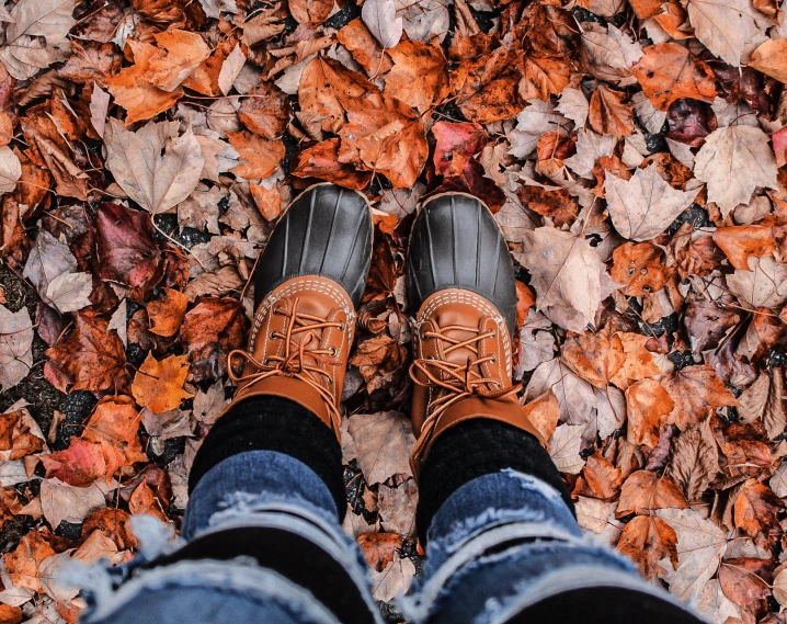 a person standing in leaves with brown shoes