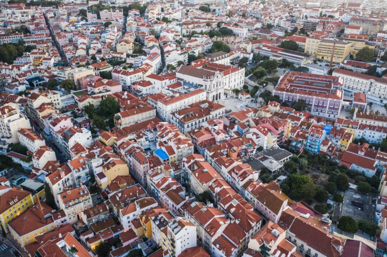 aerial view of a group of houses with many roofs