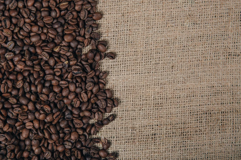 coffee beans, which have been dried and are arranged on a burluck covered table