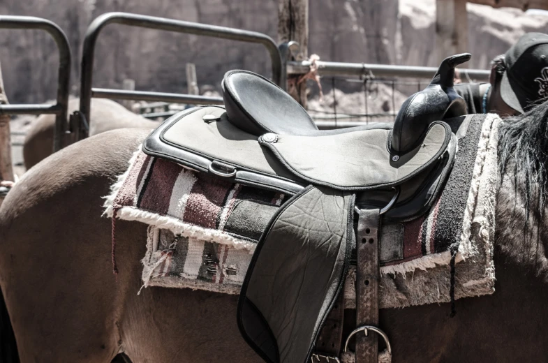 brown horse with saddle tied to its bridle