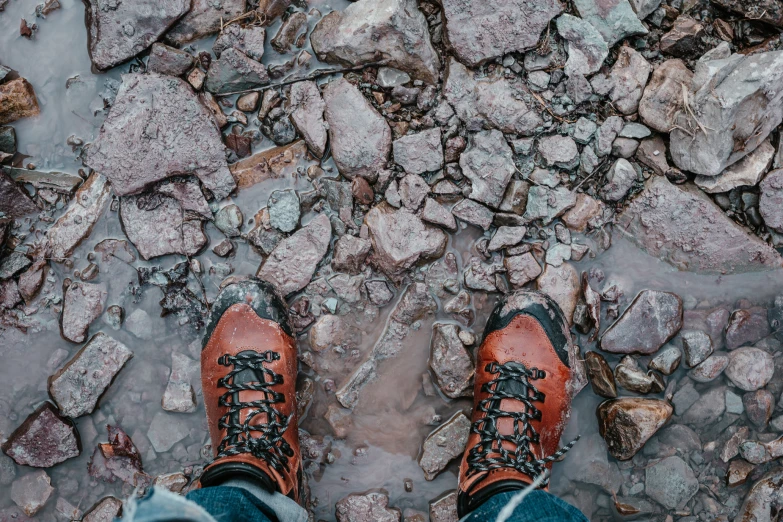 a pair of shoes standing on rocks in a river