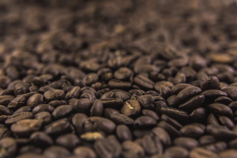 the coffee beans of a variety have brown markings