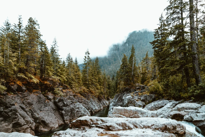 rocks and snow along a mountain stream