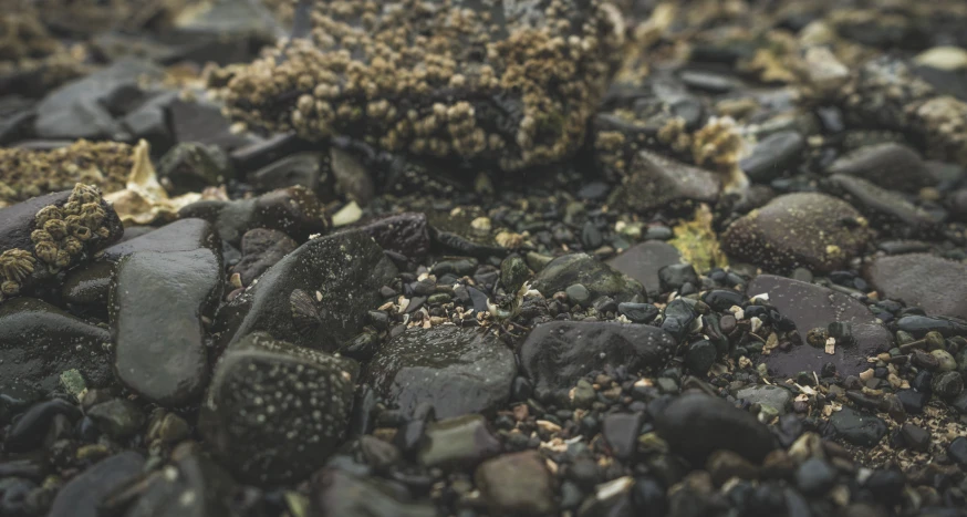 some rocks and gravel with dirt on it