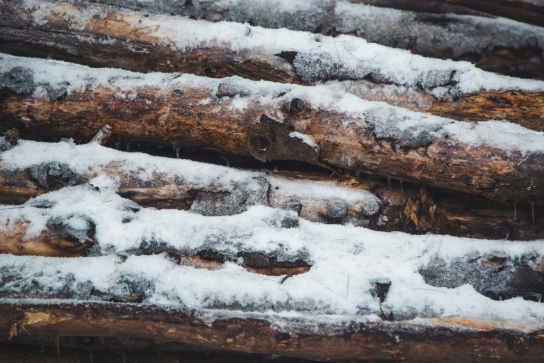 large logs are covered with a layer of snow