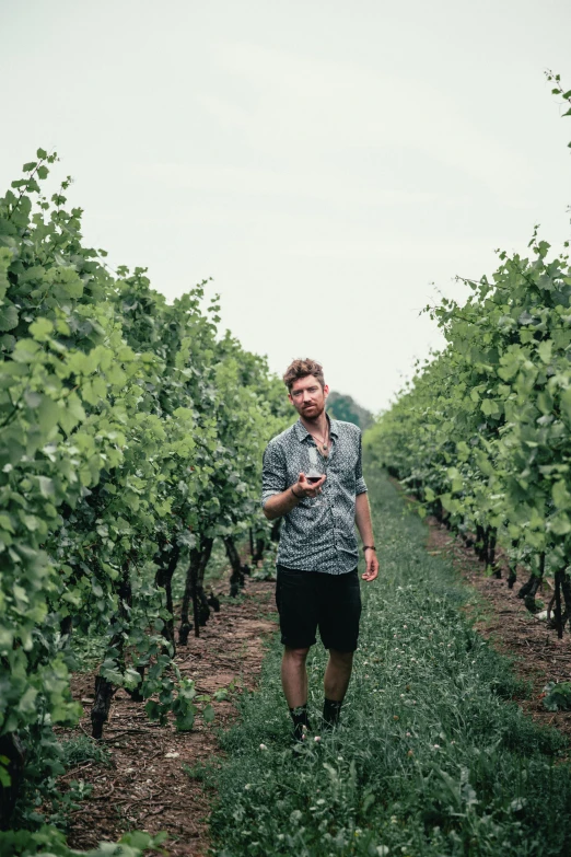 man walking in an orchard with a bottle of wine