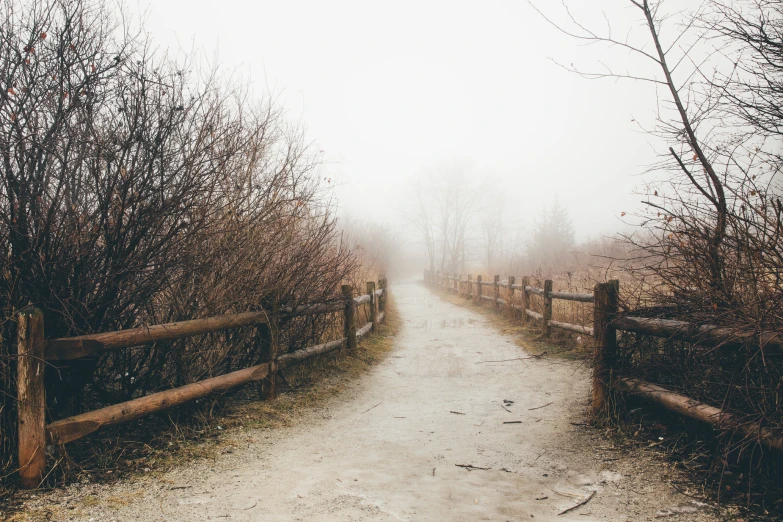 a dirt path running between two fences on both sides