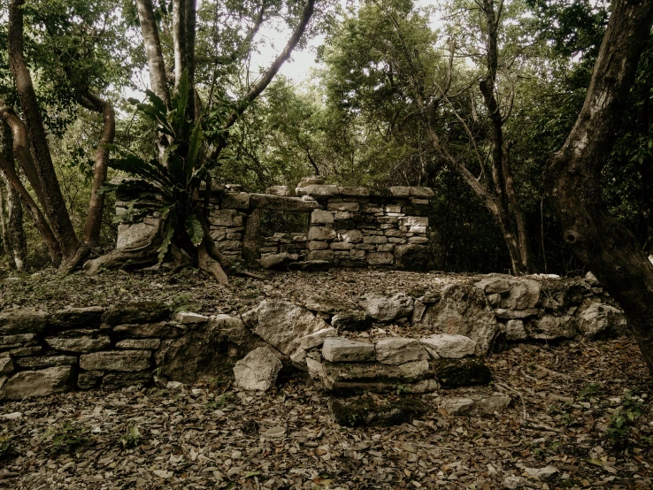 a large rock structure surrounded by trees