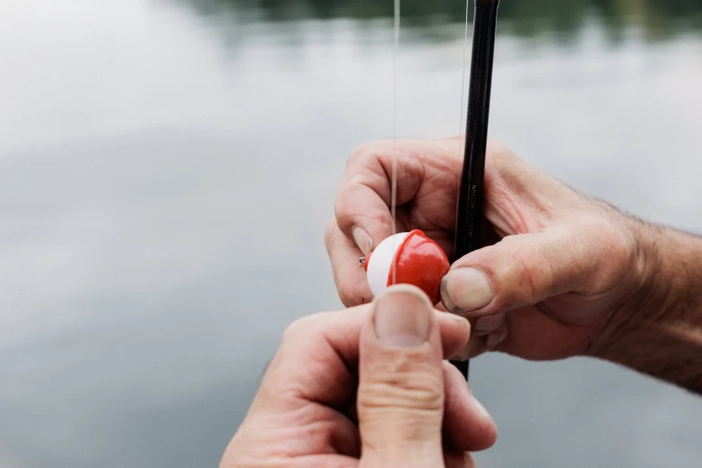 two people holding a piece of red food over water