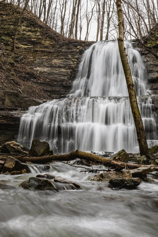 waterfall in the middle of the woods with trees