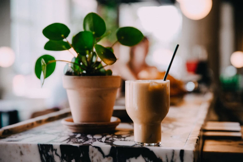 a potted plant sitting next to a drink on a table