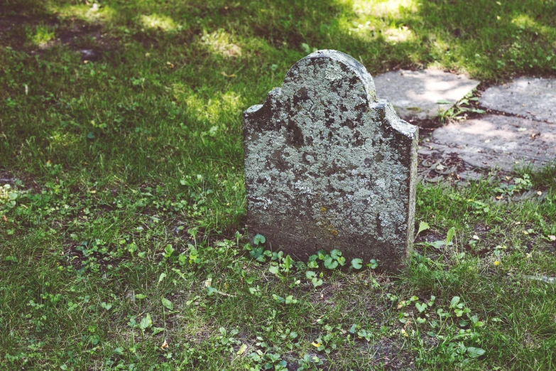 a grave on some grass by a tree