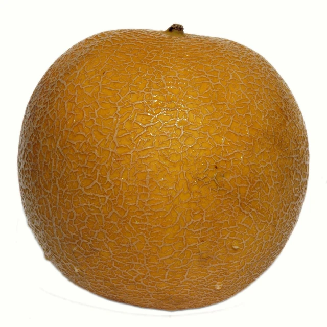 a close up of an orange on a white background