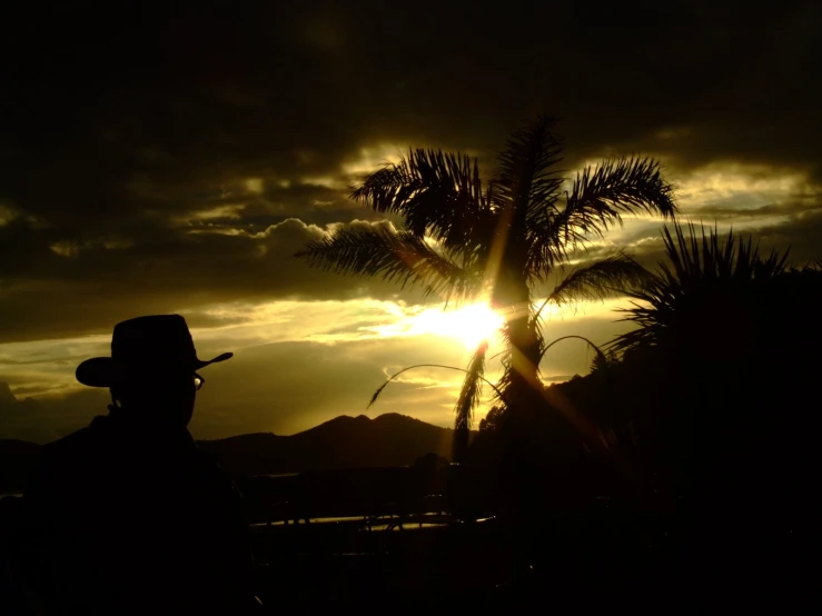 a man with a hat stands under a palm tree