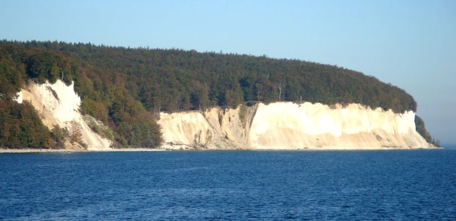 a large body of water with trees on top of it