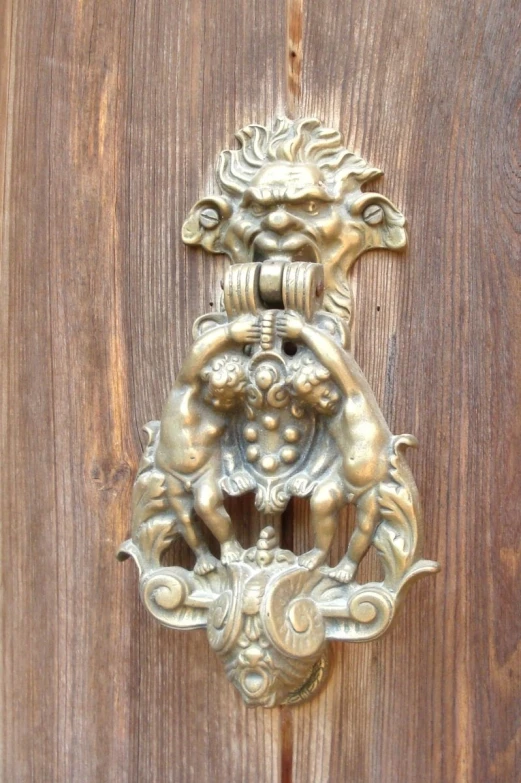 the door is made of wooden with metal details