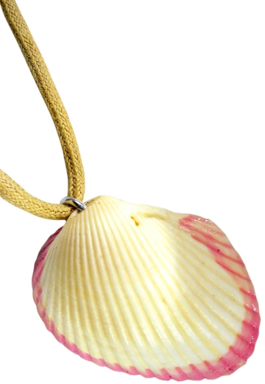 a pink and white sea shell sitting on a cord