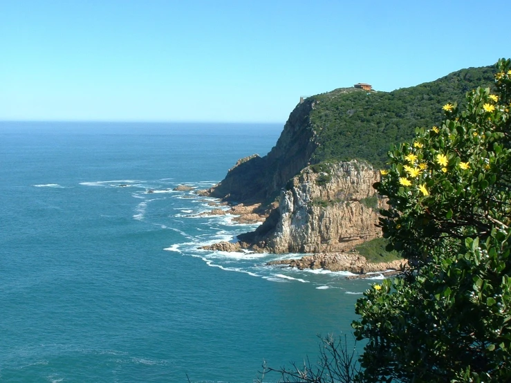 a view of the ocean near a hill with yellow flowers