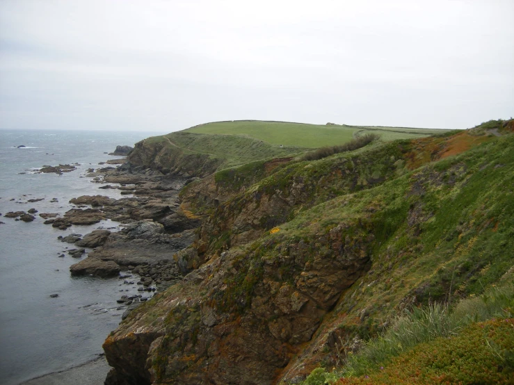 a cliff edge overlooking the ocean with green fields and grass