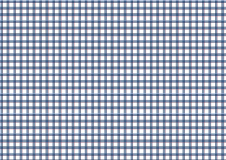 a blue and white checked texture of fabric