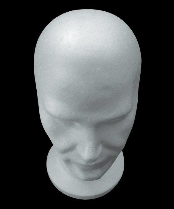 the white plaster head is against a black background