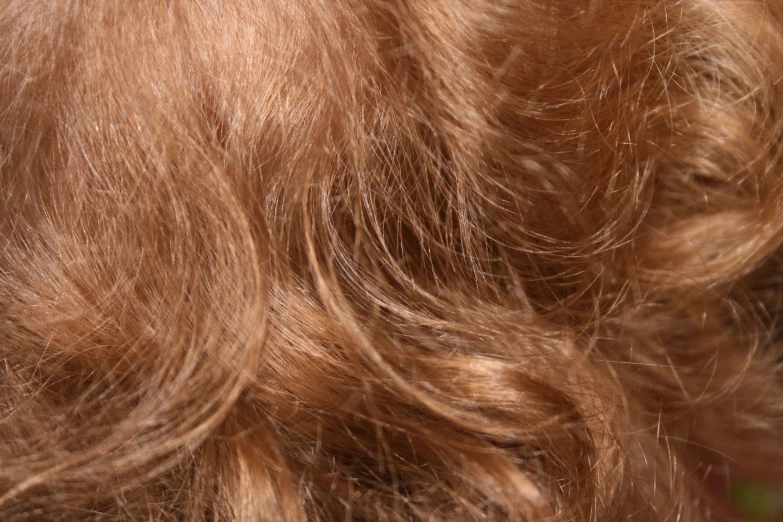 the top of a woman's hair with very long brown curly hair