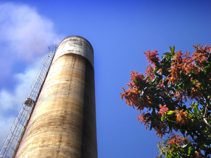 the factory is tall and has pink flowers