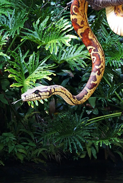 a large snake eating a leafy green leaf