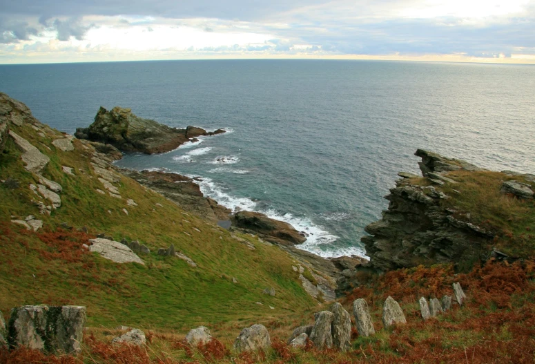 there is an animal that is standing on a hill by the ocean