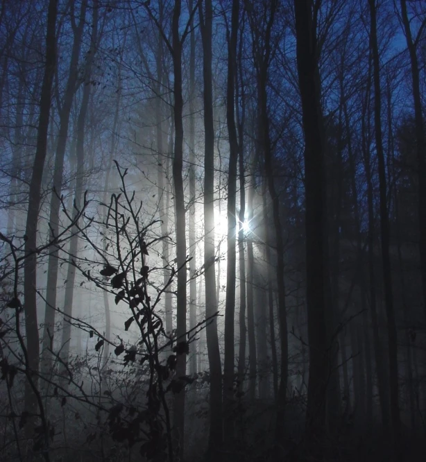 a dark night with fog and sun shine