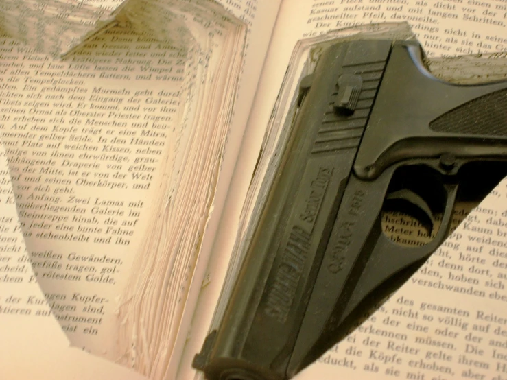 this is a picture of a book with a gun