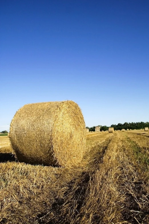 an open field with hay bales in the middle