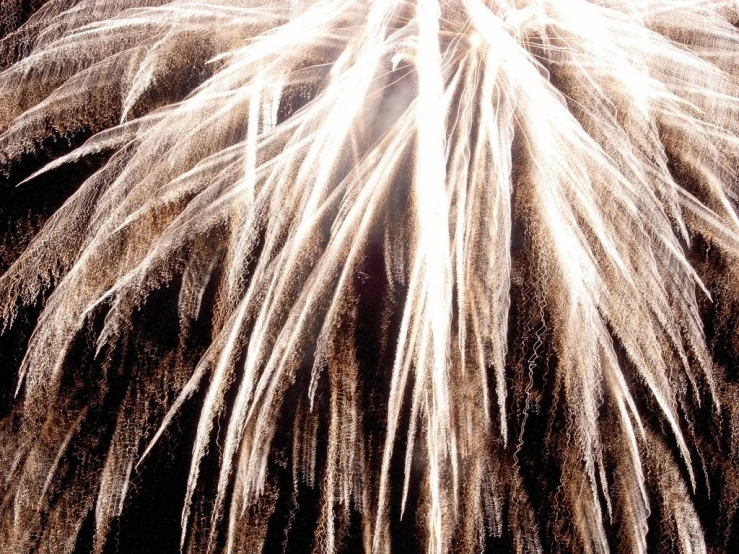 a fireworks display is seen on black background