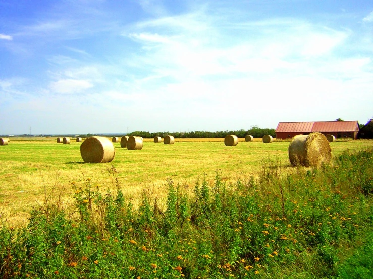 hay bales in the middle of a pasture under a blue sky