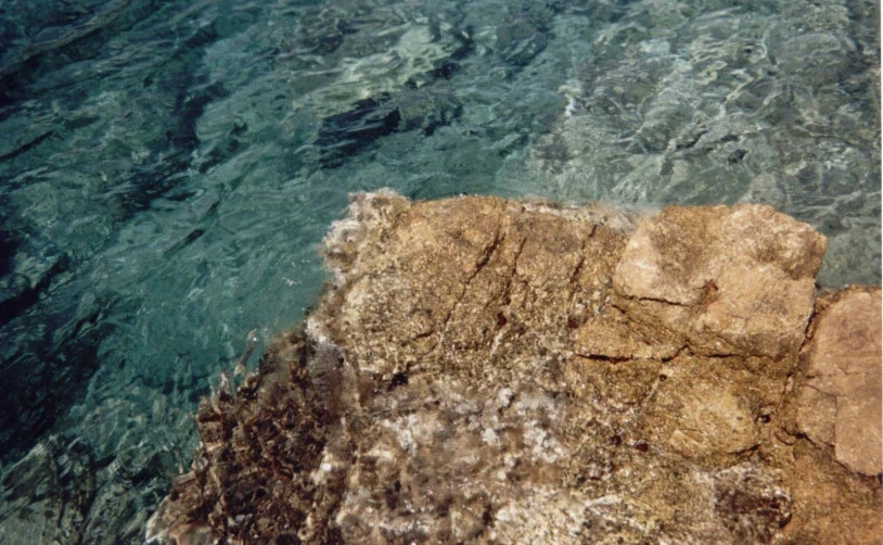 a man swimming in the crystal blue water