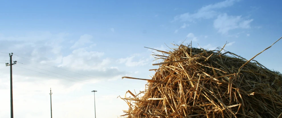 a field filled with large piles of straw