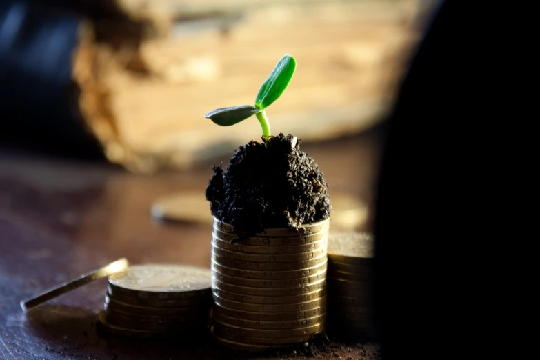 a stack of coins with a small plant growing out of top of it