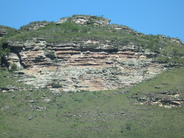 a hill side is covered with a lush green forest